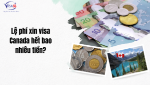 Visa5s bai viet 5