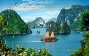 cac truong hop duoc mien thi luc nhap canh vao viet nam