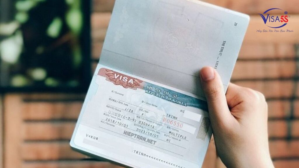 visa hàn