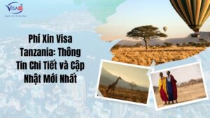 Nguyên Nhân Trượt Visa Nhật Bản Có Thể Bạn Chưa Biết: Hướng Dẫn Chi Tiết