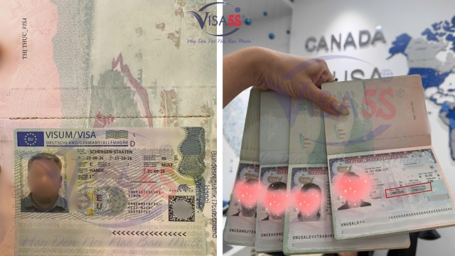 Visa Đức đi Mỹ được không? Có cần xin visa Mỹ không? 5 visa-duc-di-my-duoc-khong-1