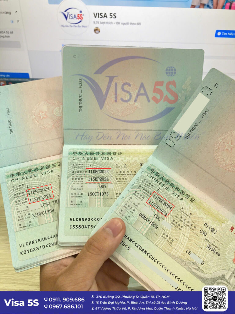 Các Tình Trạng Visa Thường Gặp Khi Kiểm Tra Online