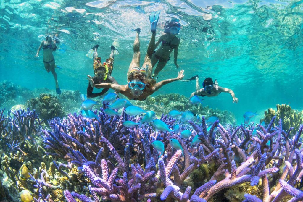 Lưu Ý Khi Du Lịch Hoặc Công Tác Tại New Caledonia