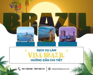 Dịch Vụ Làm Visa Brazil Và Hướng Dẫn Chi Tiết Làm Visa Brazil [Cập Nhật 2024]
