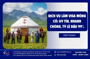Dịch Vụ Làm Visa Mông Cổ: Uy Tín, Nhanh Chóng, Tỷ Lệ Đậu 99%