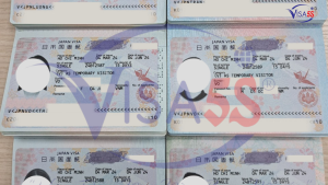 visa nhat ban visa5s
