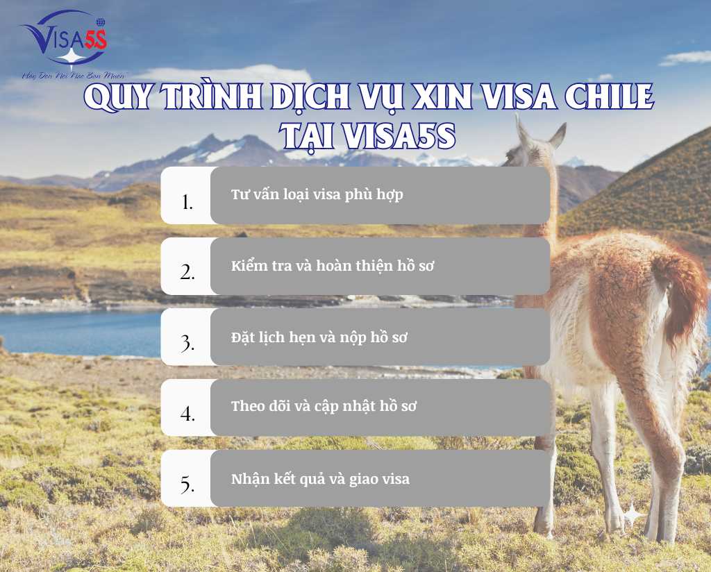 Quy trình dịch vụ xin visa Chile tại Visa5S