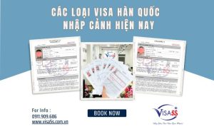Các loại visa Hàn Quốc phổ biến Hiện nay