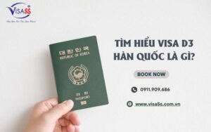 Visa Hàn Quốc D3 là gì?