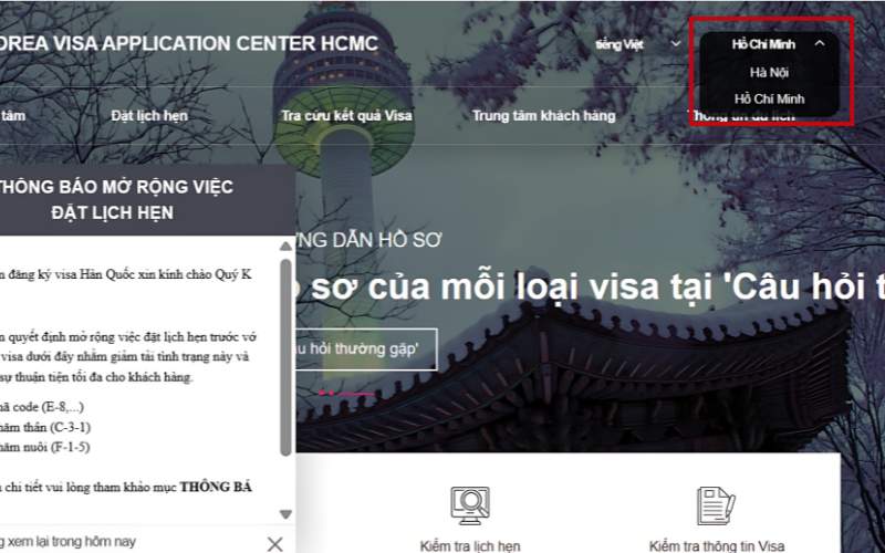 Điền chính xác thông tin của bản vào mẫu xin e visa