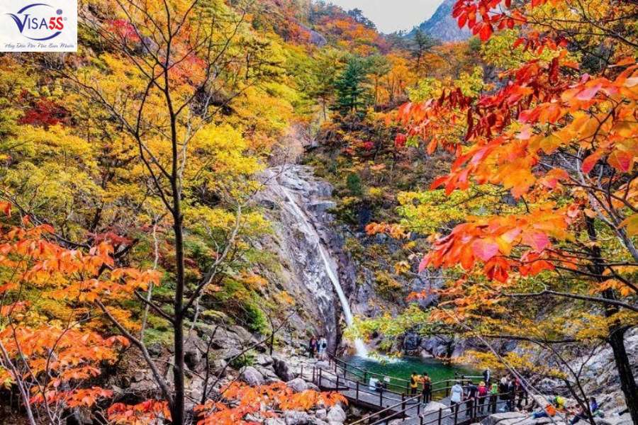 Seoraksan top 3 ngọn núi cao nhất tại Hàn Quốc