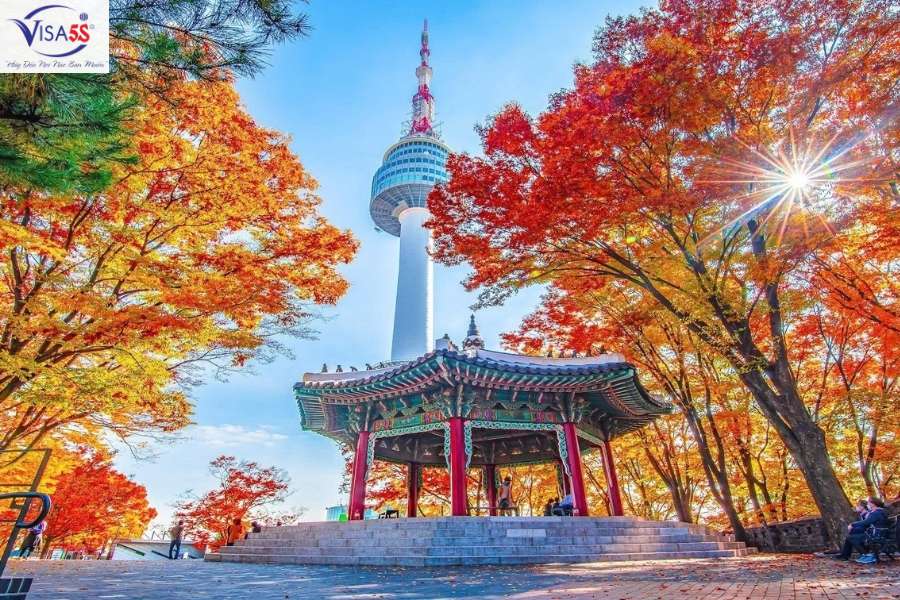 Ngắm mùa lá đỏ nổi tiếng Hàn Quốc tại Núi Namsan và Tháp Namsan Seoul.