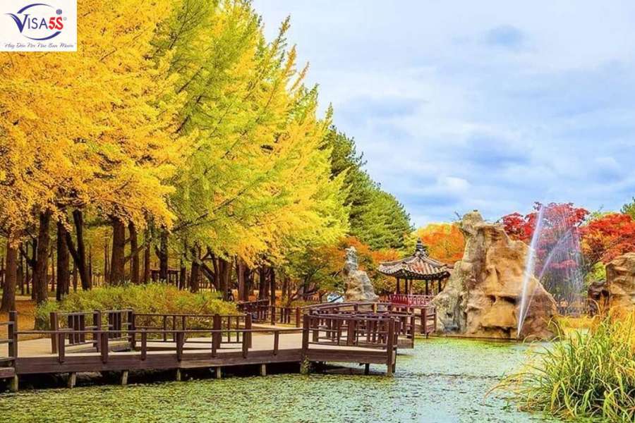 Đảo Nami Hàn Quốc mùa lá đỏ rực rỡ, điểm du lịch nổi tiếng mùa thu