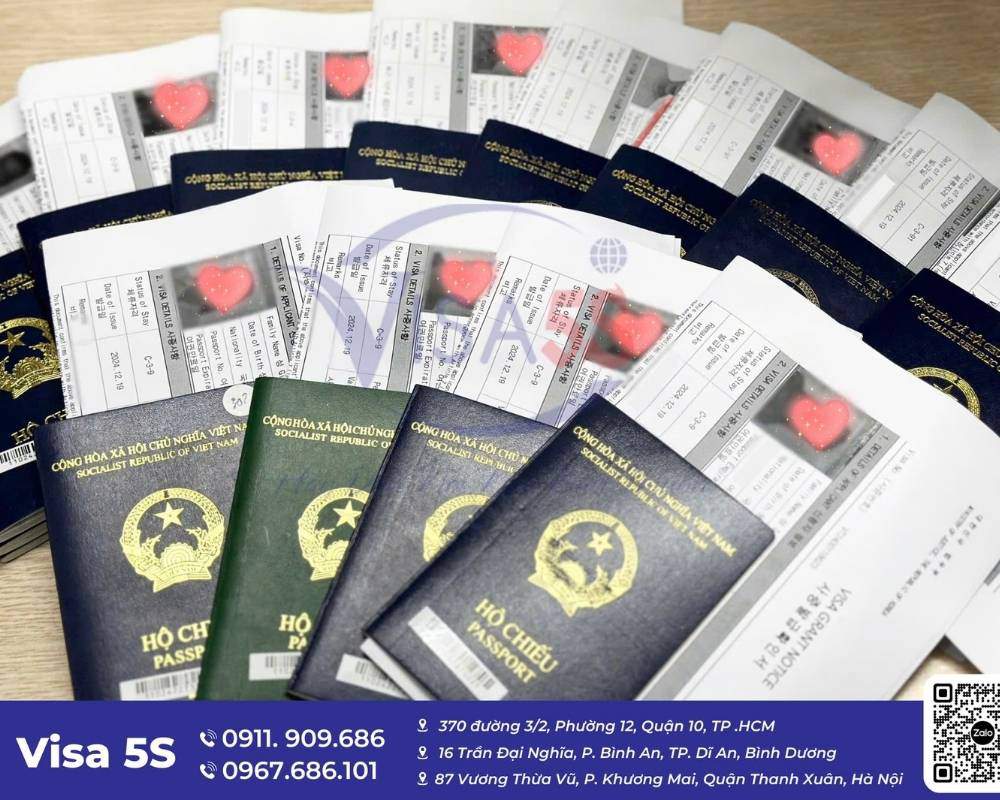 Visa E7 Hàn Quốc 2025: Điều kiện, Thủ tục hồ sơ chi tiết 5 Các loại visa E7 phổ biến hiện nay