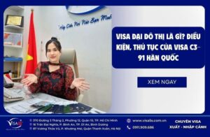Visa đại đô thị là gì? Điều kiện, thủ tục của visa C3-91 Hàn Quốc