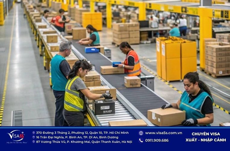 Visa 494 Úc: Điều kiện, Quyền lợi & Lộ trình Định cư Tay nghề 8 Điều kiện bạn và doanh nghiệp bảo lãnh cần đáp ứng khi xin visa tay nghề diện định cư Úc