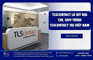 TLSContact là gì? Địa chỉ, quy trình TLSContact tại Việt Nam
