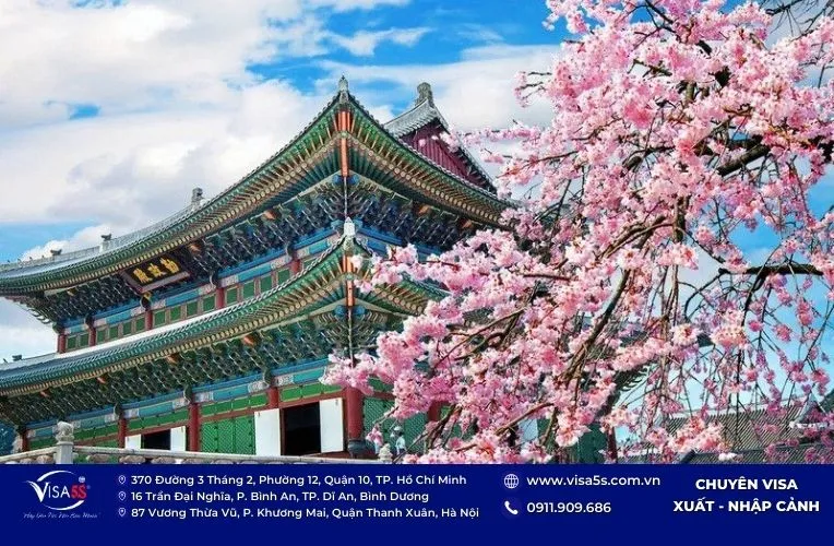 Visa Hàn Quốc 10 năm cập nhật chính sách mới