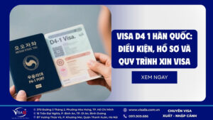 visa-d4-1